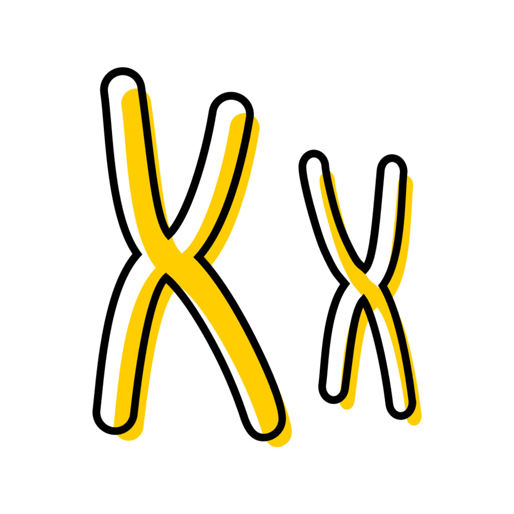 chromosome icon