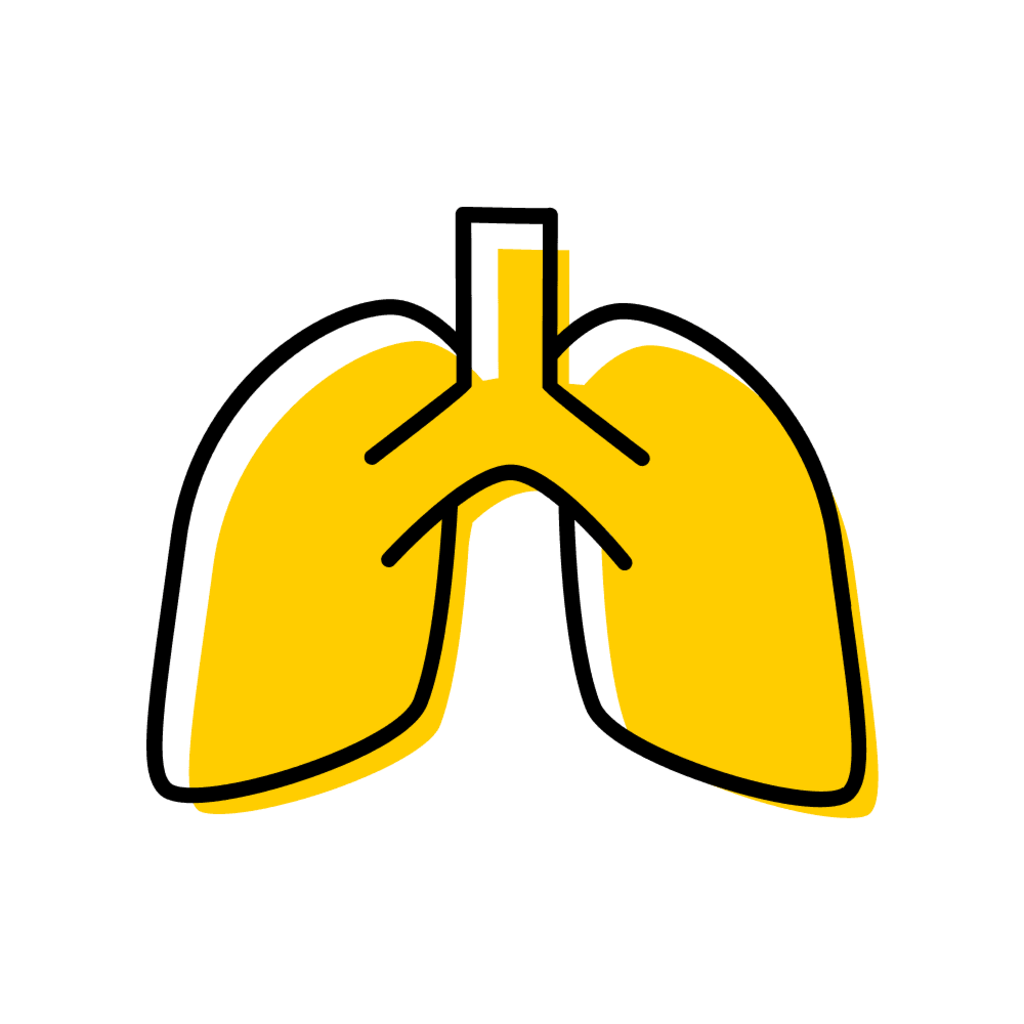 lungs icon
