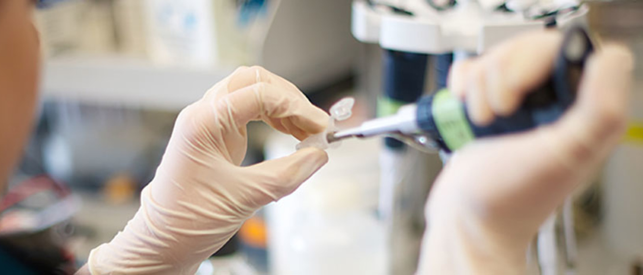 decorative banner showing a lab image
